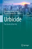 Urbicide (eBook, PDF)