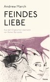 Feindes Liebe (eBook, ePUB)