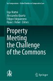 Property Meeting the Challenge of the Commons (eBook, PDF)