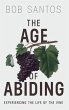 The Age of Abiding (eBook, ePUB) - Bild 1