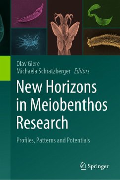 Cover New Horizons in Meiobenthos Research (eBook, PDF)