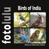 Birds of India (eBook, ePUB)