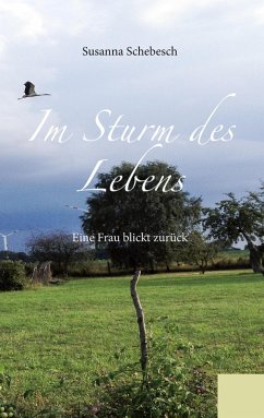 Im Sturm des Lebens (eBook, ePUB) - Schebesch, Susanna