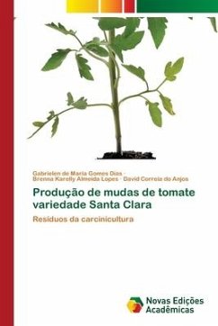 Produção de mudas de tomate variedade Santa Clara - Gomes Dias, Gabrielen de Maria;Almeida Lopes, Brenna Karelly;do Anjos, David Correia
