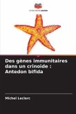 Des gènes immunitaires dans un crinoïde : Antedon bifida