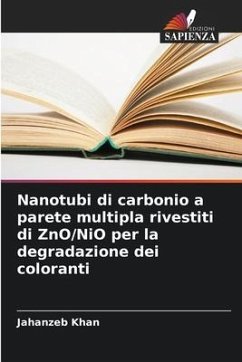 Nanotubi di carbonio a parete multipla rivestiti di ZnO/NiO per la degradazione dei coloranti - Khan, Jahanzeb