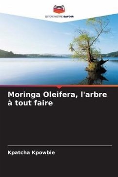 Moringa Oleifera, l'arbre à tout faire - Kpowbie, Kpatcha