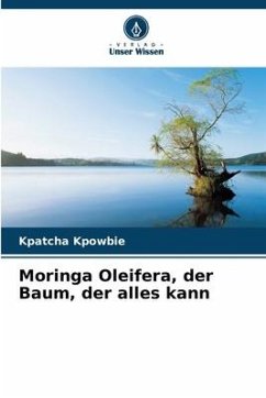 Moringa Oleifera, der Baum, der alles kann - Kpowbie, Kpatcha