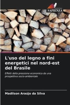 L'uso del legno a fini energetici nel nord-est del Brasile - Araújo da Silva, Madilson