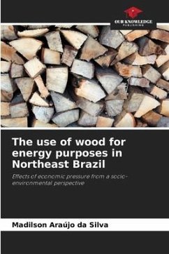 The use of wood for energy purposes in Northeast Brazil - Araújo da Silva, Madilson