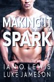 Making It Spark (eBook, ePUB)