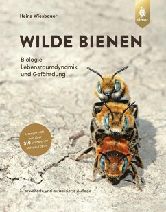 Wilde Bienen (eBook, PDF) - Wiesbauer, Heinz