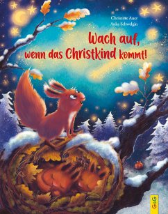 Wach auf, wenn das Christkind kommt! - Auer, Christine