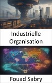 Industrielle Organisation (eBook, ePUB)