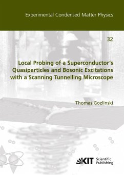 Local Probing of a Superconductor¿s Quasiparticles and Bosonic Excitations with a Scanning Tunnelling Microscope - Gozlinski, Thomas