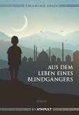 Aus dem Leben eines Blindgängers (eBook, ePUB)