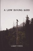 A Low Diving Bird