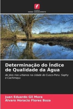 Determinação do Índice de Qualidade da Água - Gil Mora, Juan Eduardo;Flores Boza, Álvaro Horacio