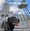 Downtown Dog - Bild 1
