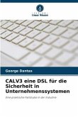 CALV3 eine DSL für die Sicherheit in Unternehmenssystemen