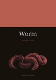 Worm