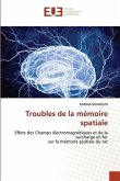 Troubles de la mémoire spatiale