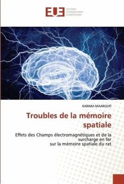 Troubles de la mémoire spatiale - MAAROUFI, KARIMA