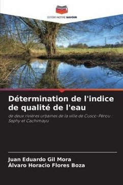 Détermination de l'indice de qualité de l'eau - Gil Mora, Juan Eduardo;Flores Boza, Álvaro Horacio