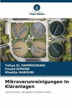 Mikroverunreinigungen In Kläranlagen - El Hammoudani, Yahya;Dimane, Fouad;HABOUBI, Khadija