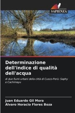 Determinazione dell'indice di qualità dell'acqua - Gil Mora, Juan Eduardo;Flores Boza, Álvaro Horacio