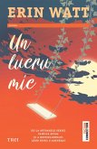 Un lucru mic (eBook, ePUB)