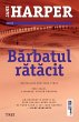 Barbatul ratacit (eBook, ePUB) - Bild 1