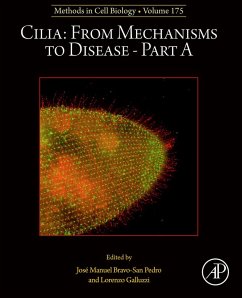 Cilia: From Mechanisms to Disease-Part A (eBook, ePUB)