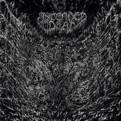 Cover Evenfall Of The Apocalypse