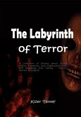 The Labyrinth of Terror: A Collection of Stories about Serial Killers, Mysteries, and Nightmares that Will Challenge Your Sanity - Horror Stories in English (eBook, ePUB)