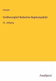 Großherzoglich Badisches Regierungsblatt