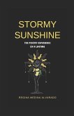 Stormy Sunshine: The Poetry Experience of a Lifetime