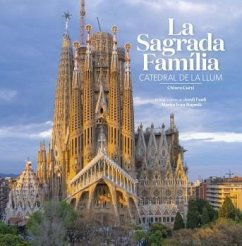 La Sagrada Família : catedral de la llum - Vivas, Pere