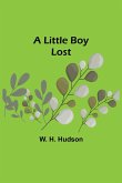 A Little Boy Lost