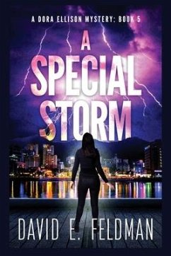 A Special Storm: Crime Fiction Novels (A Dora Ellison Mystery Book 5) - Feldman, David Eric
