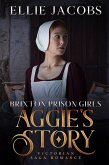 Aggie's Story (eBook, ePUB)