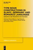 Type Noun Constructions in Slavic, Germanic and Romance Languages (eBook, PDF)