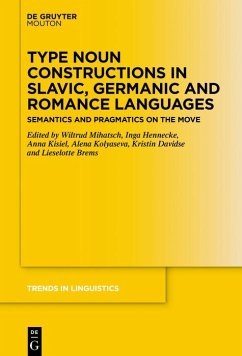 Type Noun Constructions in Slavic, Germanic and Romance Languages (eBook, PDF)