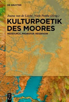 Kulturpoetik des Moores (eBook, ePUB)
