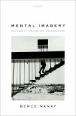 Mental Imagery (eBook, ePUB)