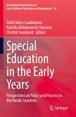 Special Education in the Early Years