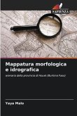 Mappatura morfologica e idrografica