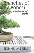 Branches Of A Bonsai - Bild 1