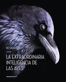 La extraordinaria inteligencia de las aves