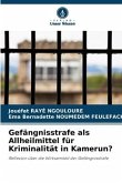 Gefängnisstrafe als Allheilmittel für Kriminalität in Kamerun?